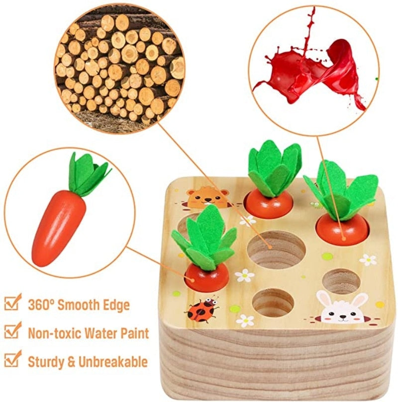 Baby Pull Wooden Toy