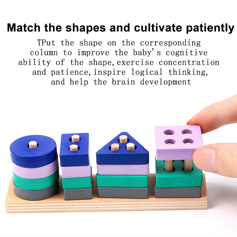 Wooden Color Shape Match Puzzle Toy