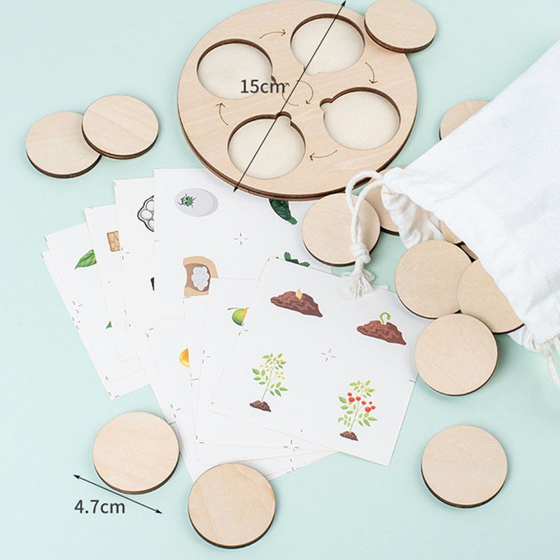 Life Cycle Board Montessori Kit Biology Science Education Toys For Kids Sensory Tray Animal Figure Life Cycle Sorting Wooden Toy